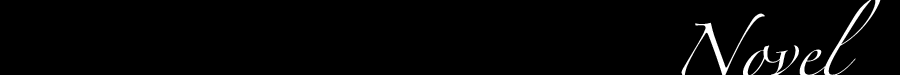 Novel