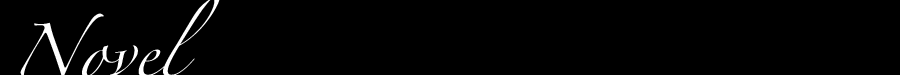 Novel